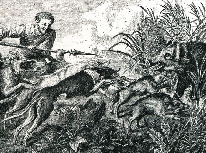 D'après Snyders et Rubens - Début XVIIe - Illustration tirée de l'ouvrage La Chasse à travers les Âges - Comte de Chabot (1898) - A. Savaète (Paris) -